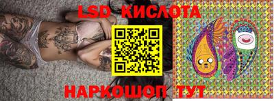 стаф Донской
