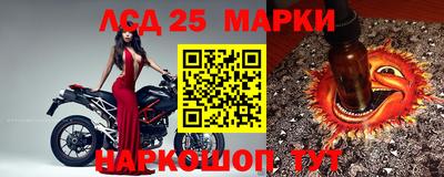 стаф Донской