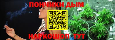 гашик Донецк