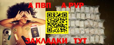 стаф Донской