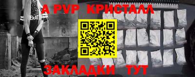 стаф Донской